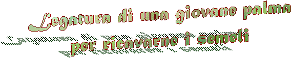 E'  N A T A  !